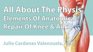 Elements Of Anatomical Repair Of Knee & Ankle