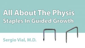 Staples In Guided Growth